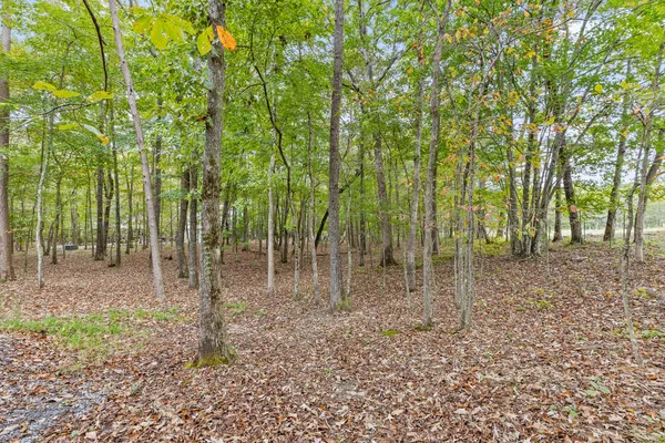 $522,500 | 6112 Cove Road, Mentone, AL 35984