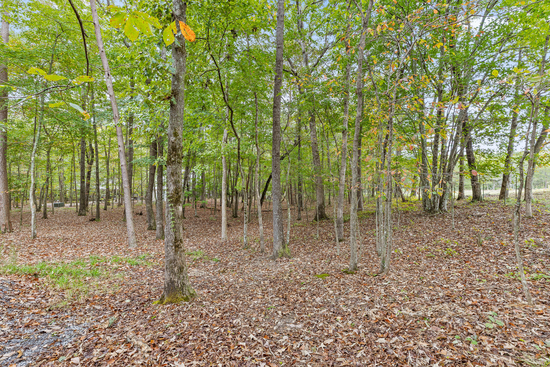 6112 Cove Road Mentone, AL 35984 - Photo 39 of 39 31-Cove Rd-24