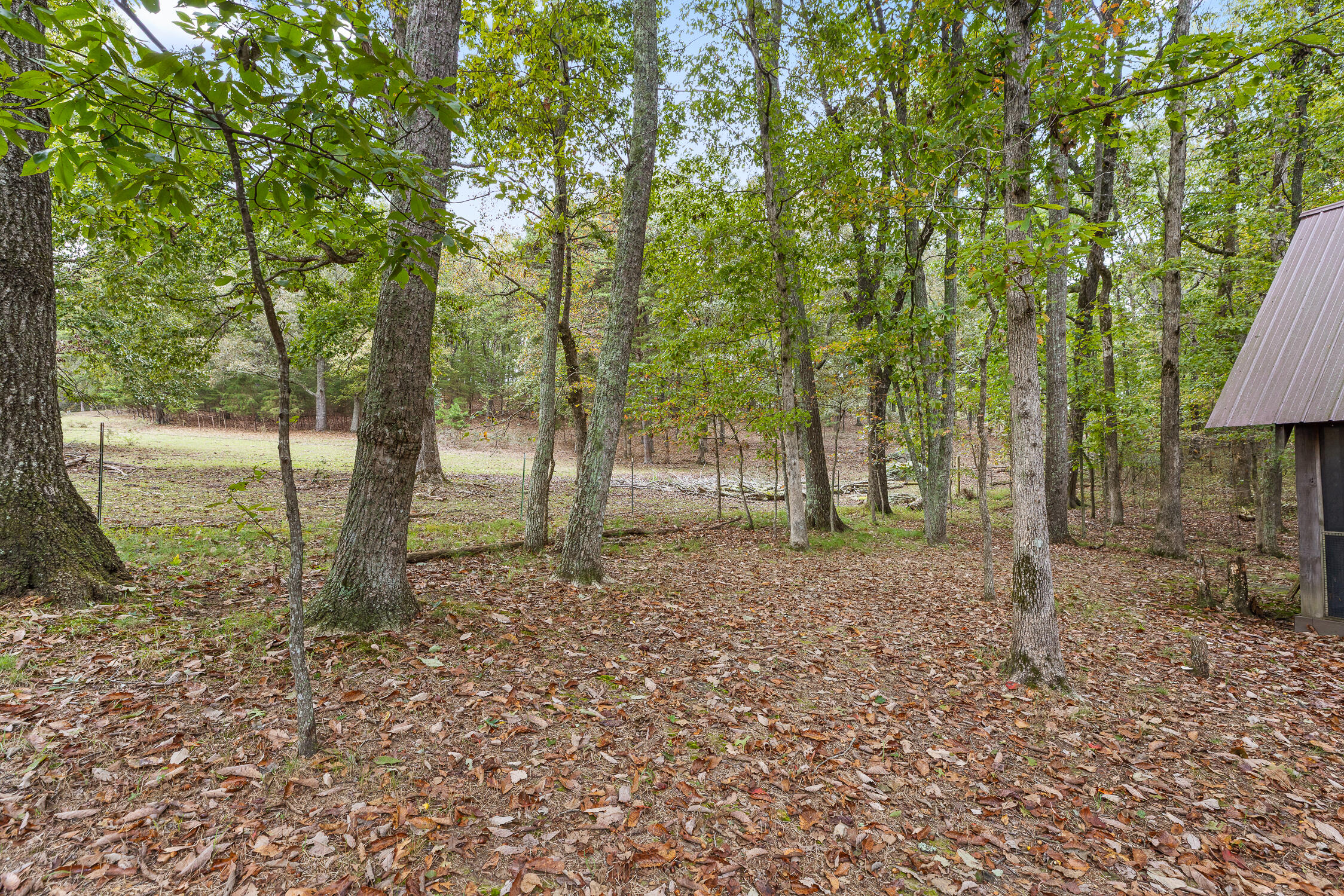 6112 Cove Road Mentone, AL 35984 - Photo 10 of 39 04-Cove Rd-13