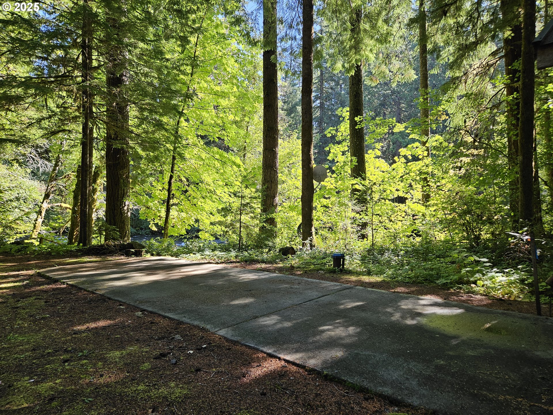 55690 McKenzie River Drive Blue River, OR 97413 - Photo 11 of 41 a view of a street with a building
