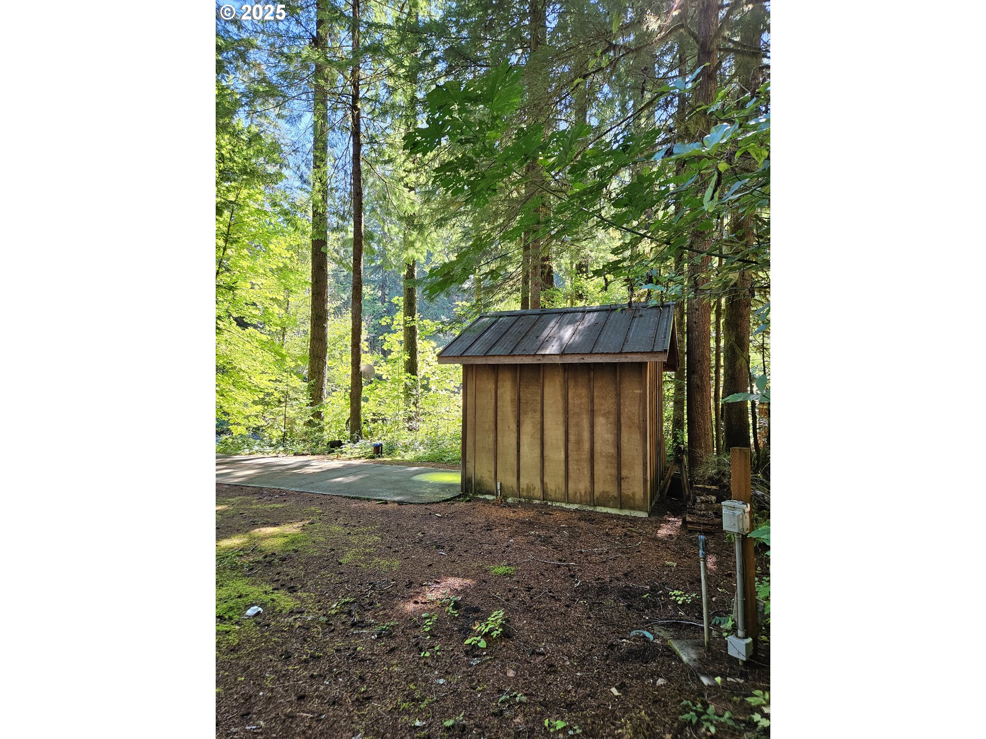 55690 McKenzie River Drive Blue River, OR 97413 - Photo 16 of 41 a front view of a house with a garden