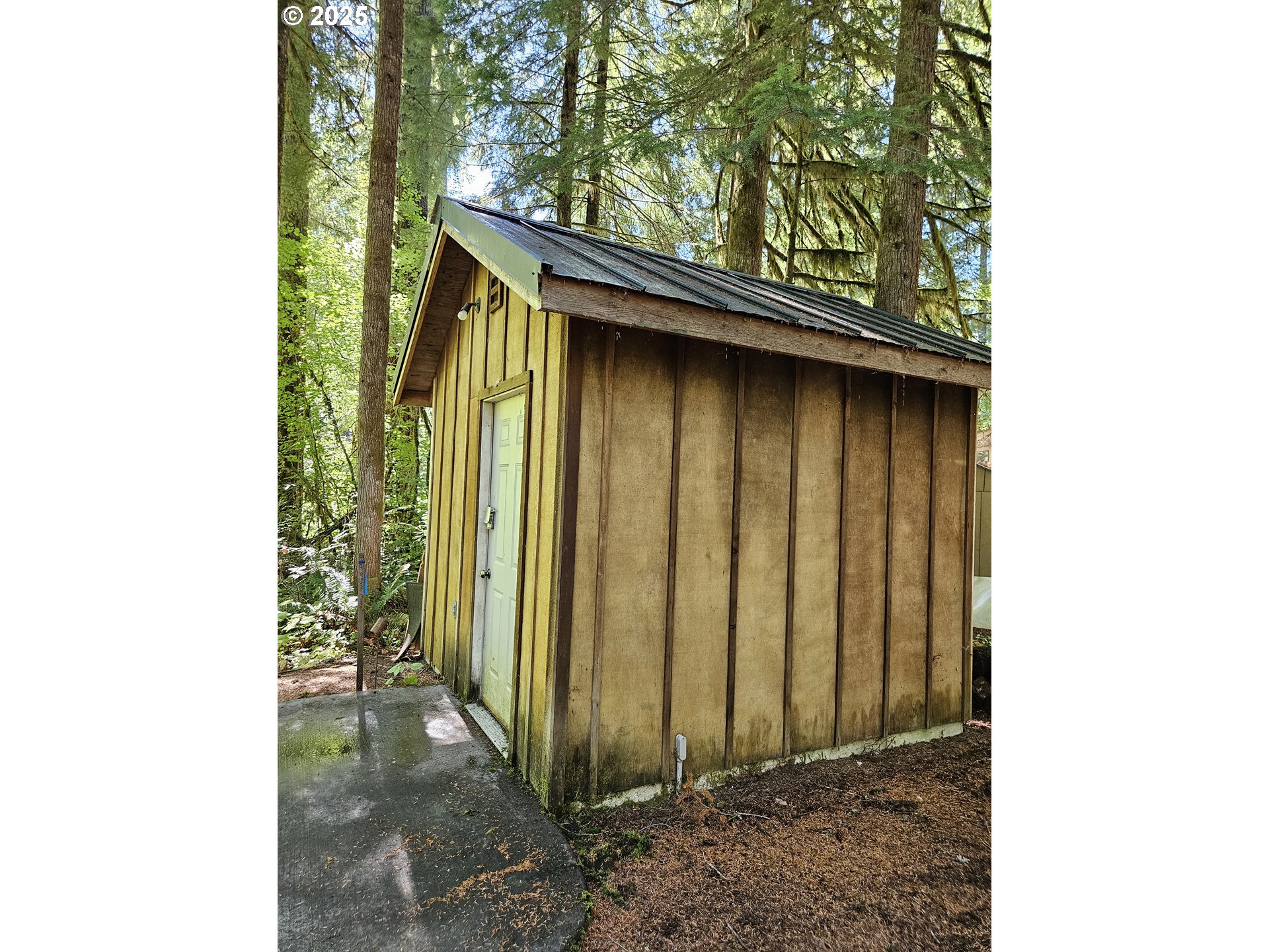 55690 McKenzie River Drive Blue River, OR 97413 - Photo 21 of 41 a backyard of a house