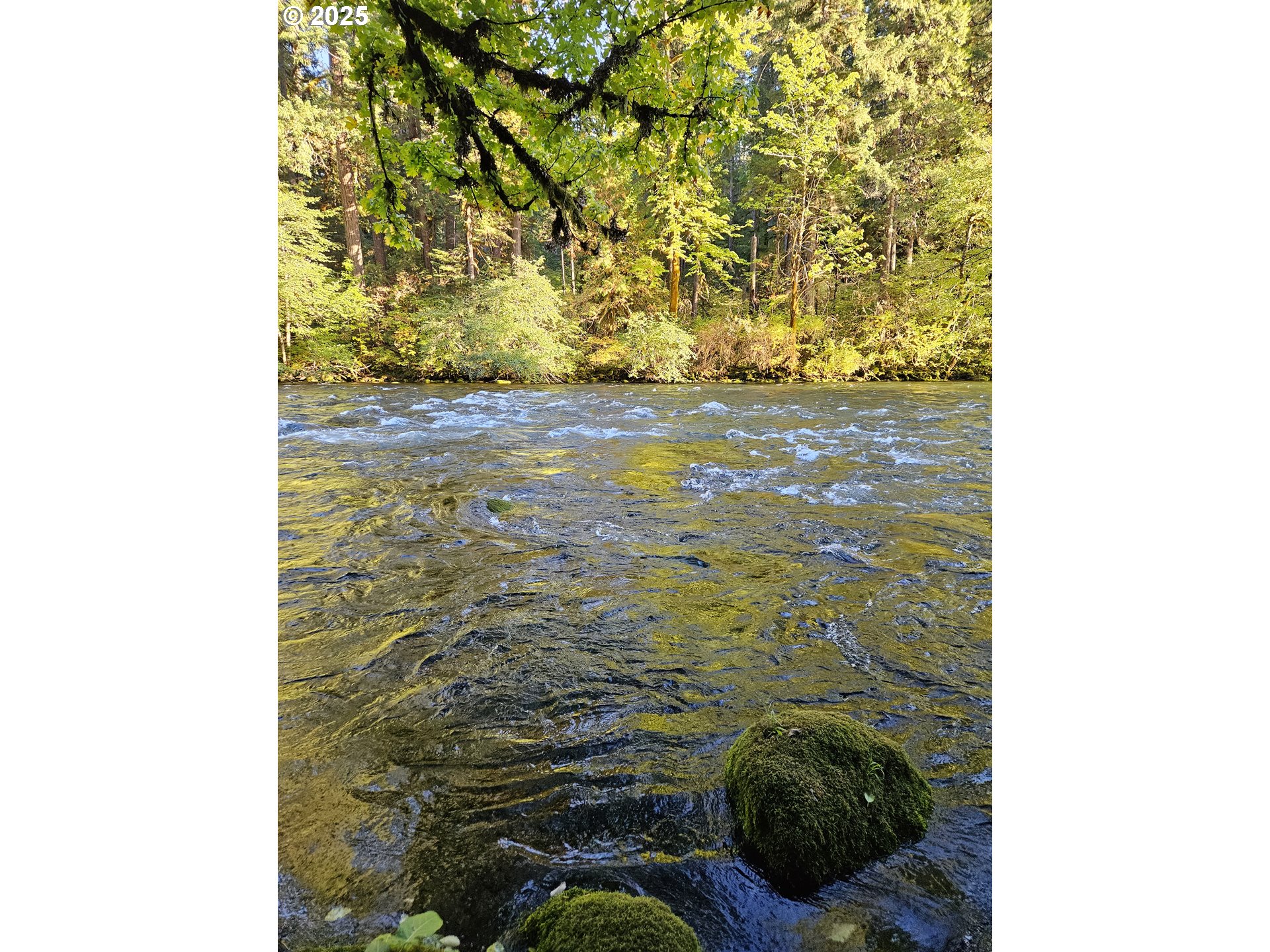 55690 McKenzie River Drive Blue River, OR 97413 - Photo 24 of 41 a view of entryway with wooden floor