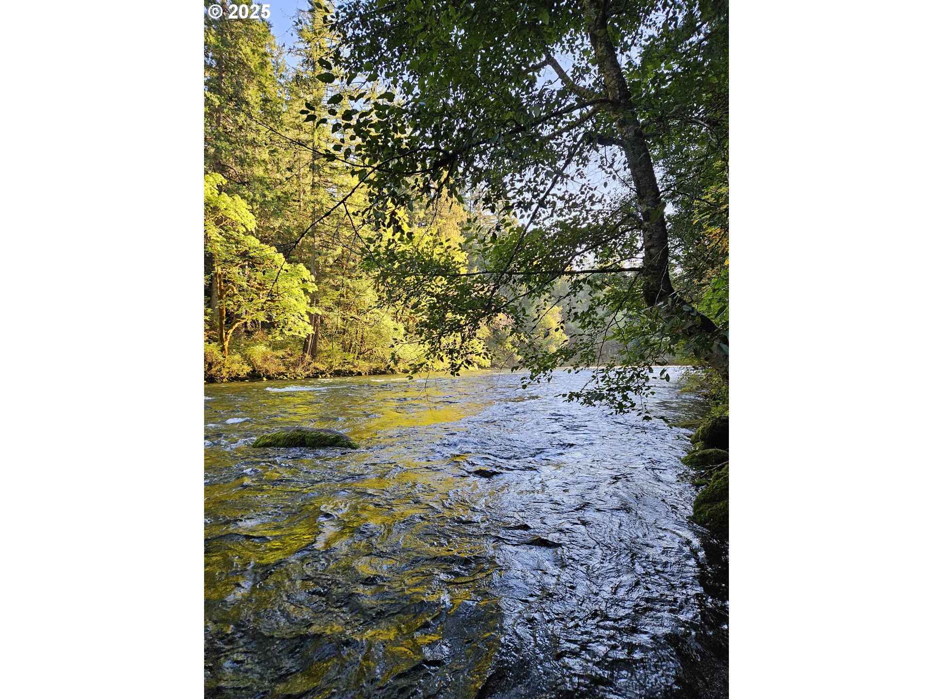 55690 McKenzie River Drive Blue River, OR 97413 - Photo 25 of 41 a view of a lake view