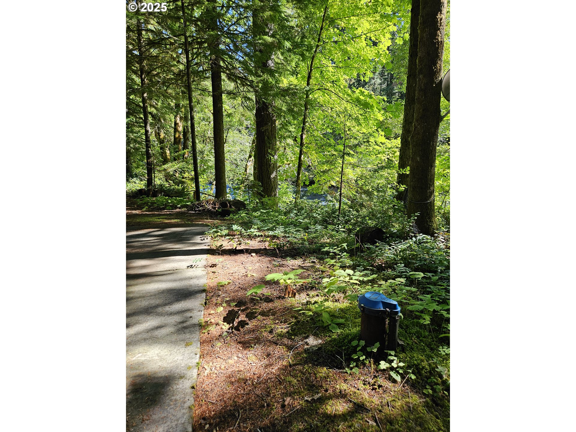 55690 McKenzie River Drive Blue River, OR 97413 - Photo 28 of 41 a backyard of a house with lots of green space