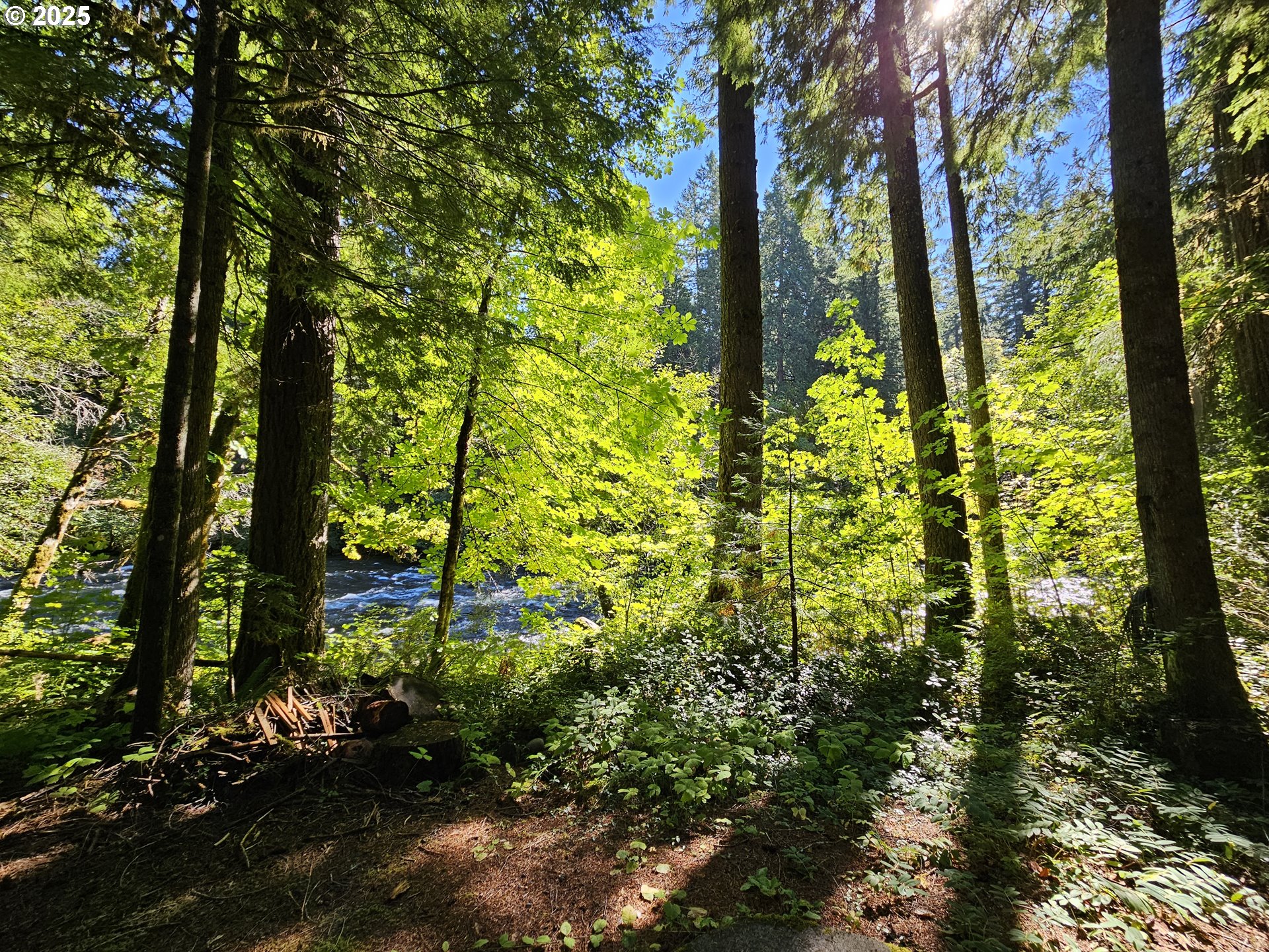 55690 McKenzie River Drive Blue River, OR 97413 - Photo 30 of 41 a backyard of a house with lots of green space