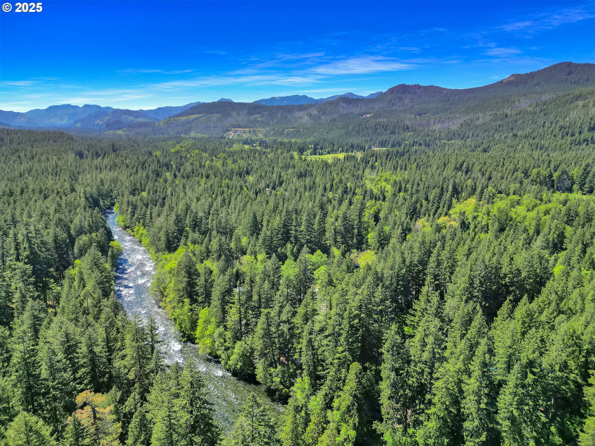 55690 McKenzie River Drive Blue River, OR 97413 - Photo 33 of 41 a view of a lush green hillside and a mountain