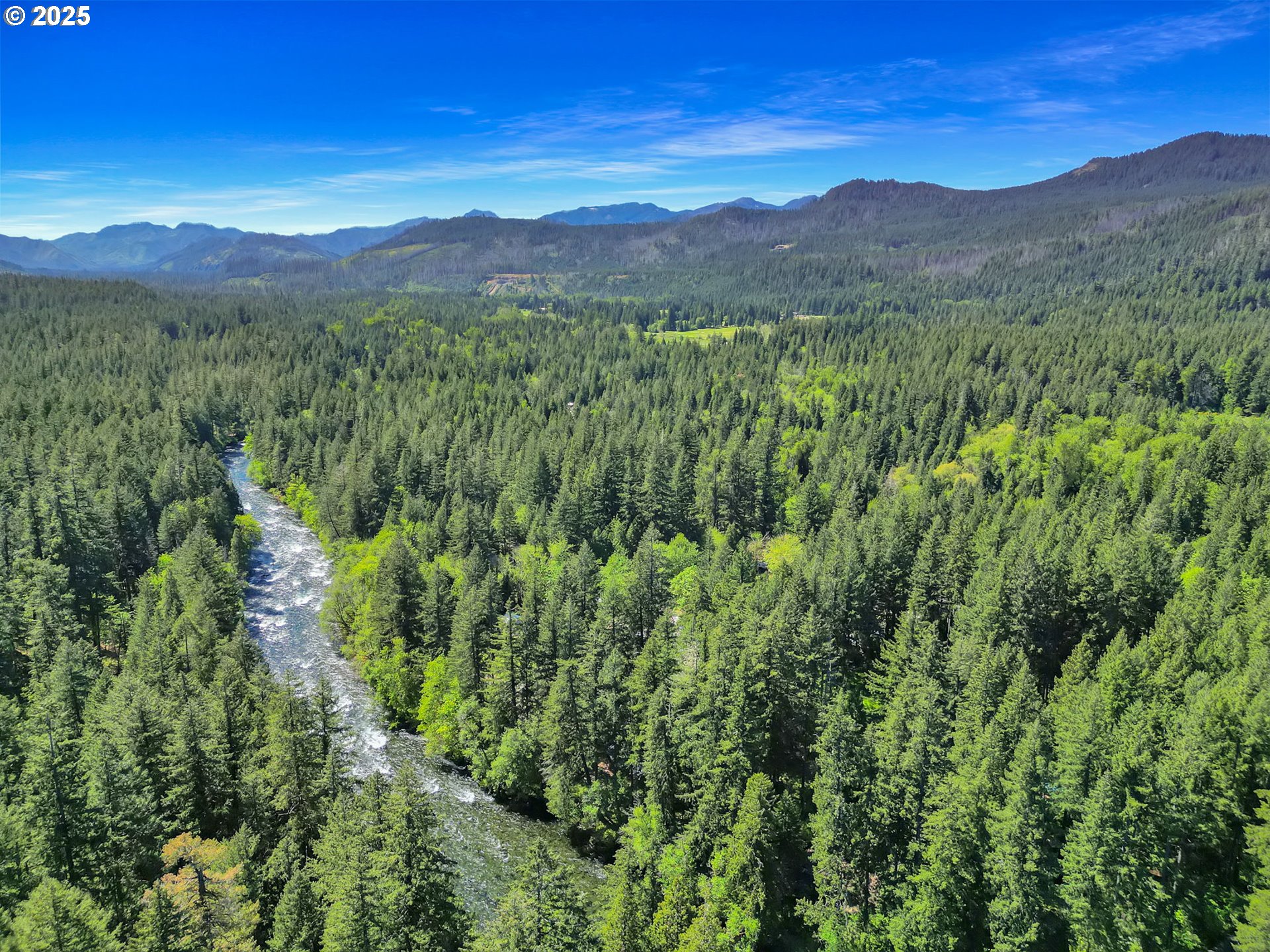 55690 McKenzie River Drive Blue River, OR 97413 - Photo 4 of 41 a view of a lush green hillside and a mountain