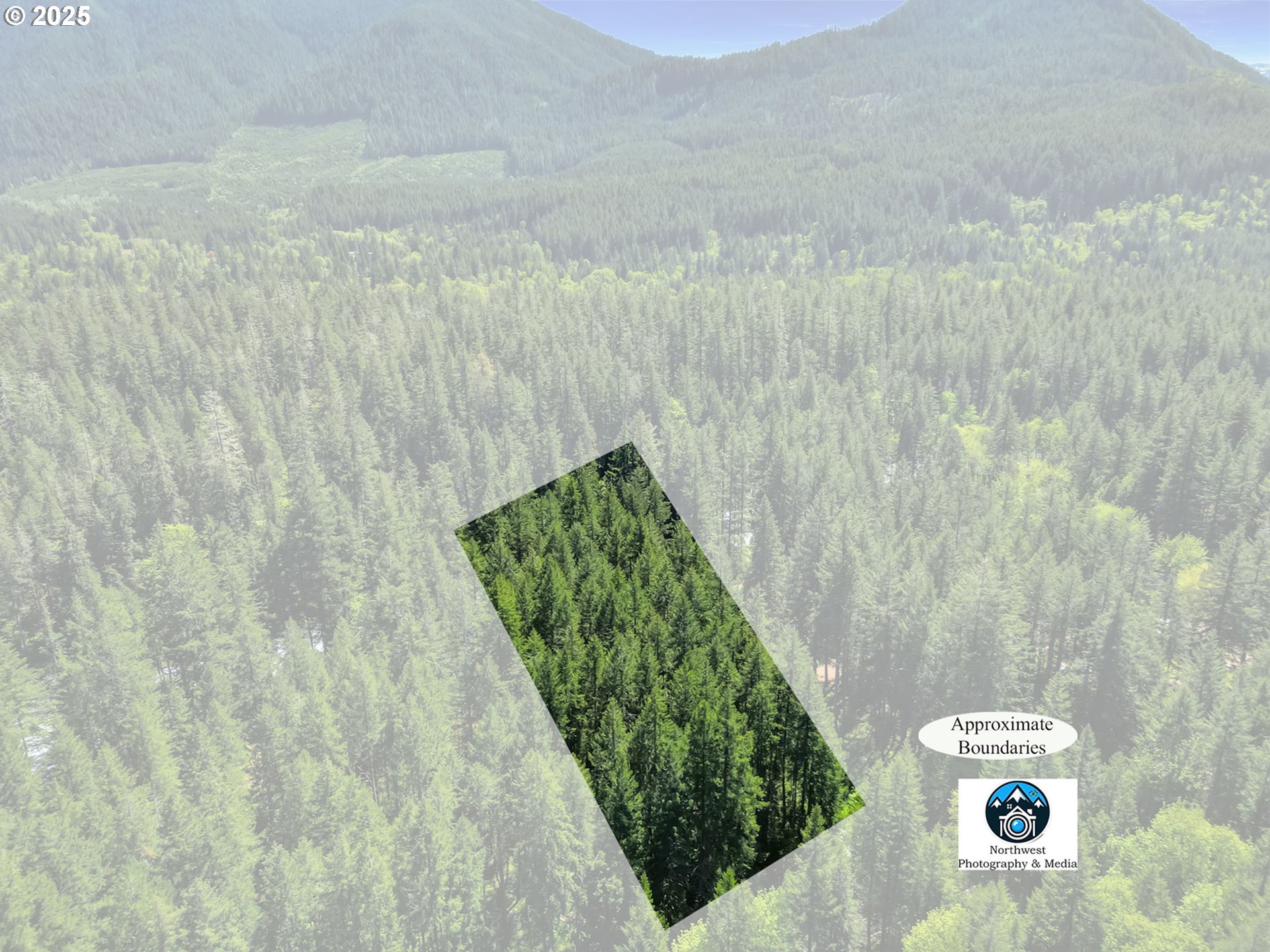 55690 McKenzie River Drive Blue River, OR 97413 - Photo 6 of 41 a view of a bunch of trees