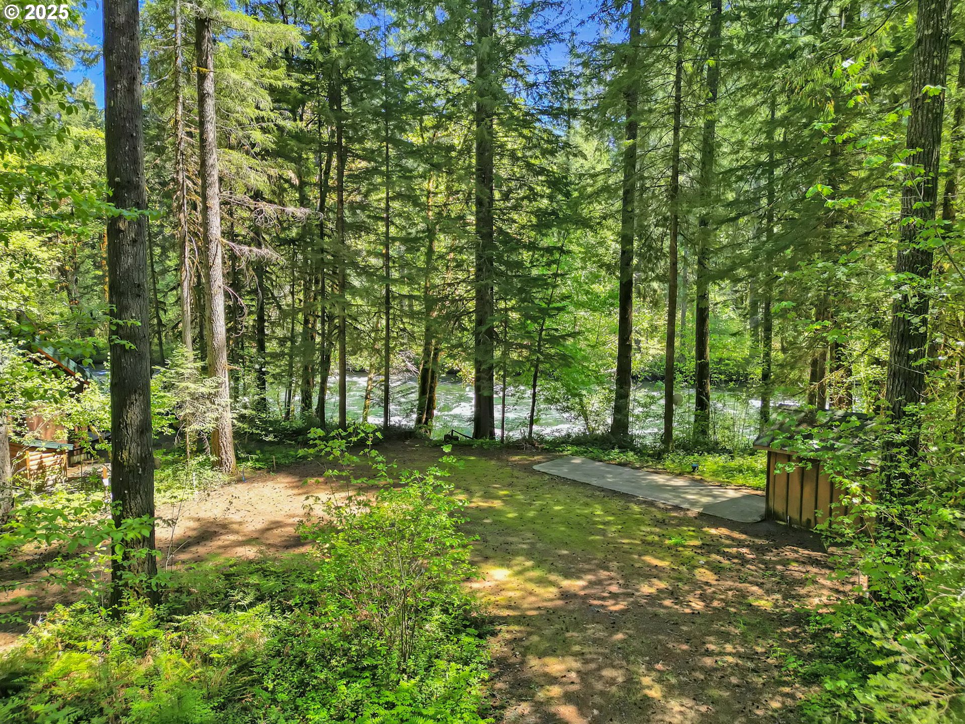 55690 McKenzie River Drive Blue River, OR 97413 - Photo 8 of 41 a view of a trees with a yard