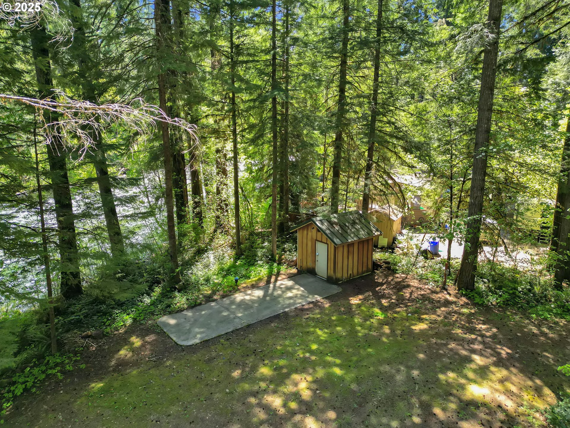 55690 McKenzie River Drive Blue River, OR 97413 - Photo 9 of 41 a view of a fire pit with large trees