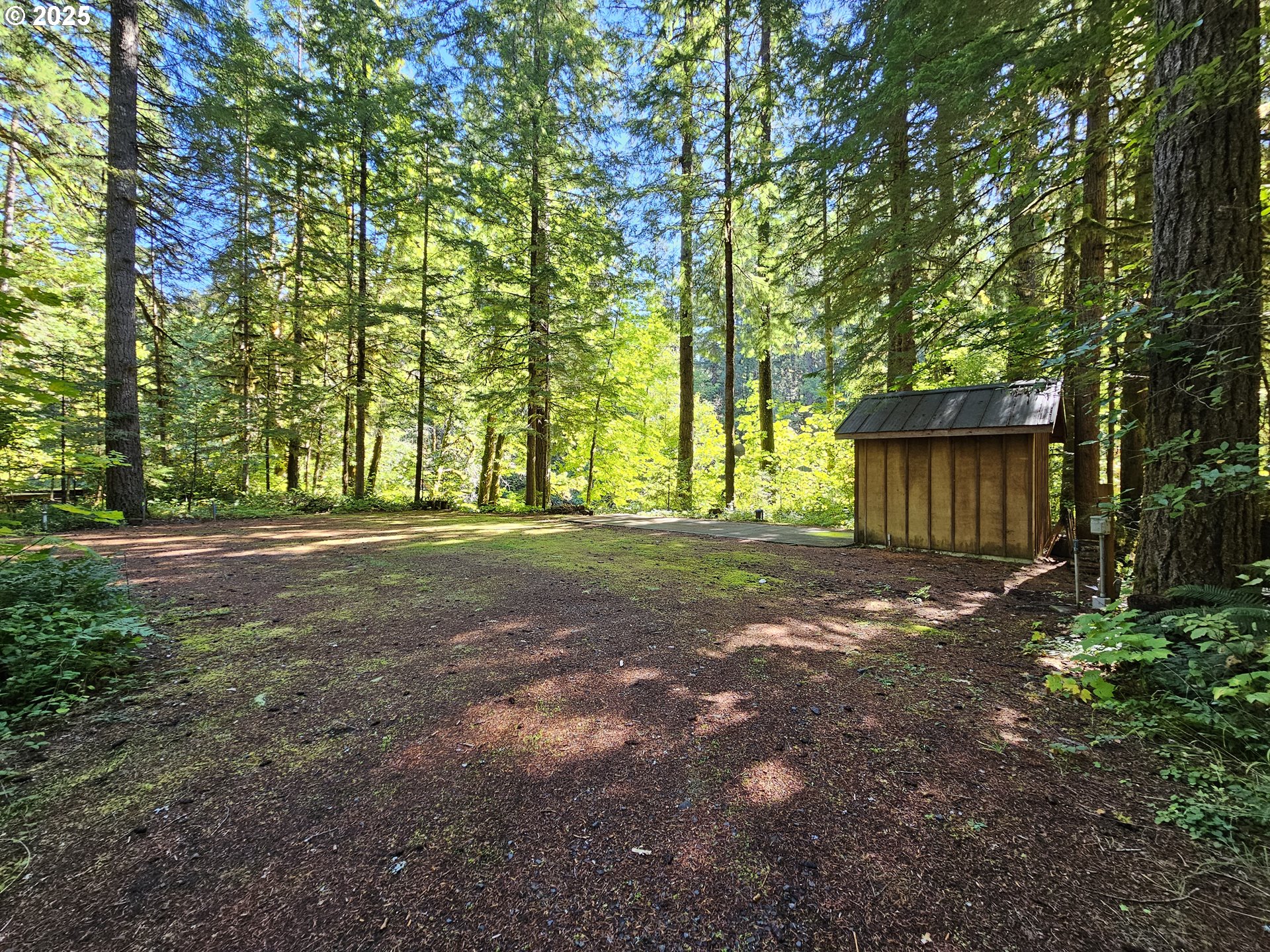 55690 McKenzie River Drive Blue River, OR 97413 - Photo 10 of 41 a view of a house with backyard and trees