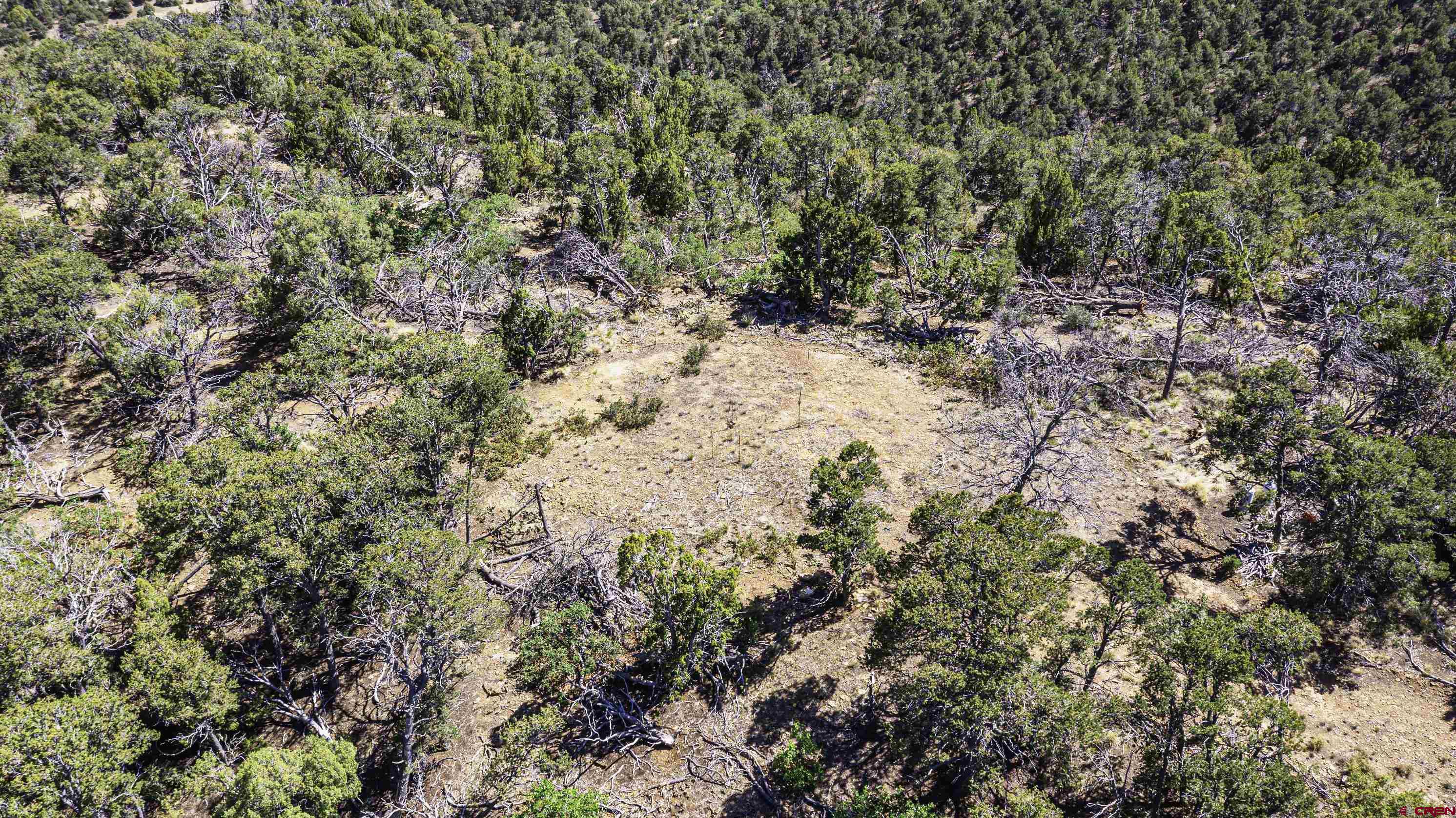 Tbd Tbd Fishers Peak Ranch Trinidad, CO 81082 - Photo 5 of 31