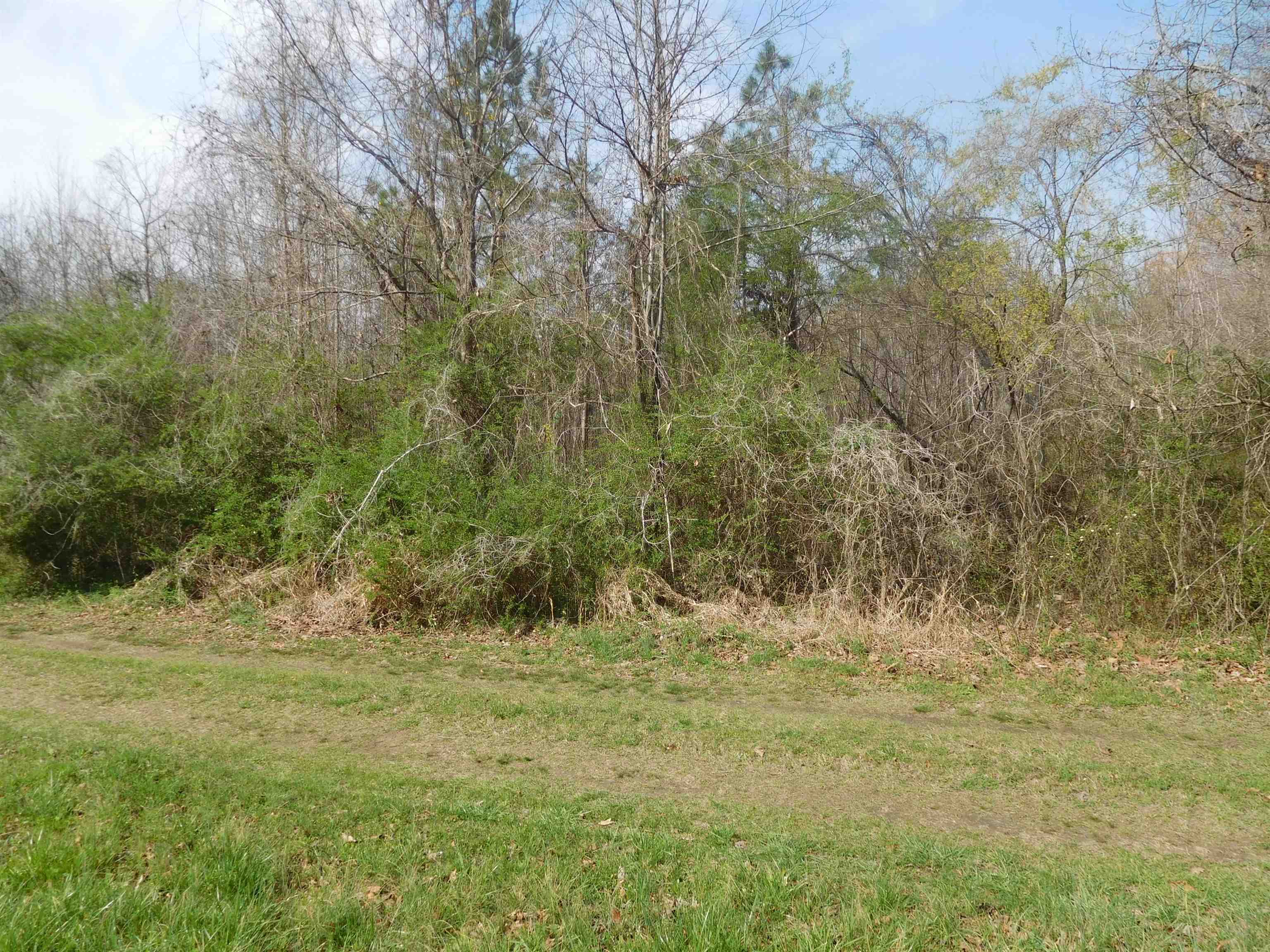 Tbd Hamrick Street Gaffney, SC 29340 - Photo 2 of 3