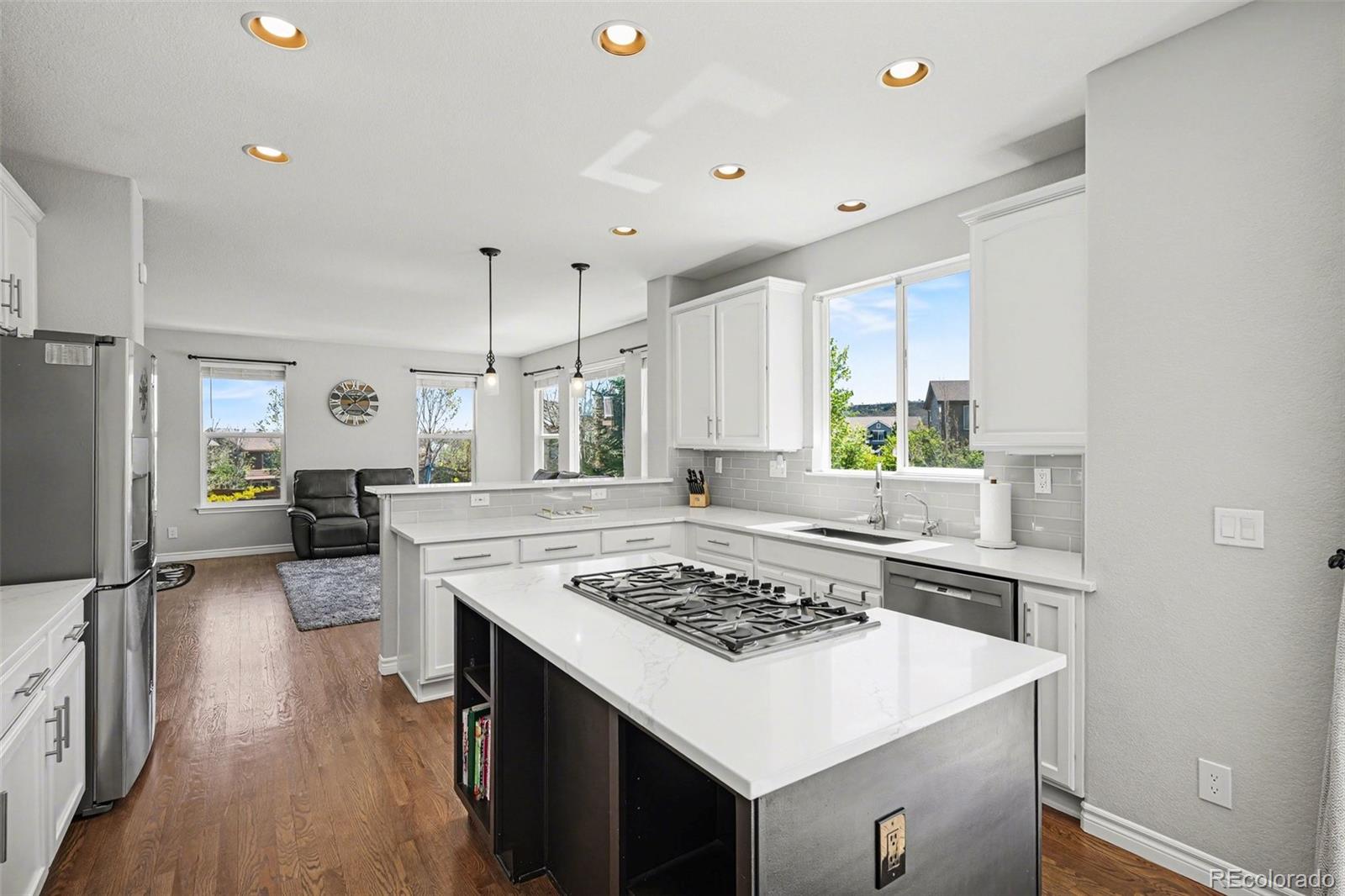 10912 Huntwick Street Highlands Ranch, CO 80130 - Photo 12 of 49