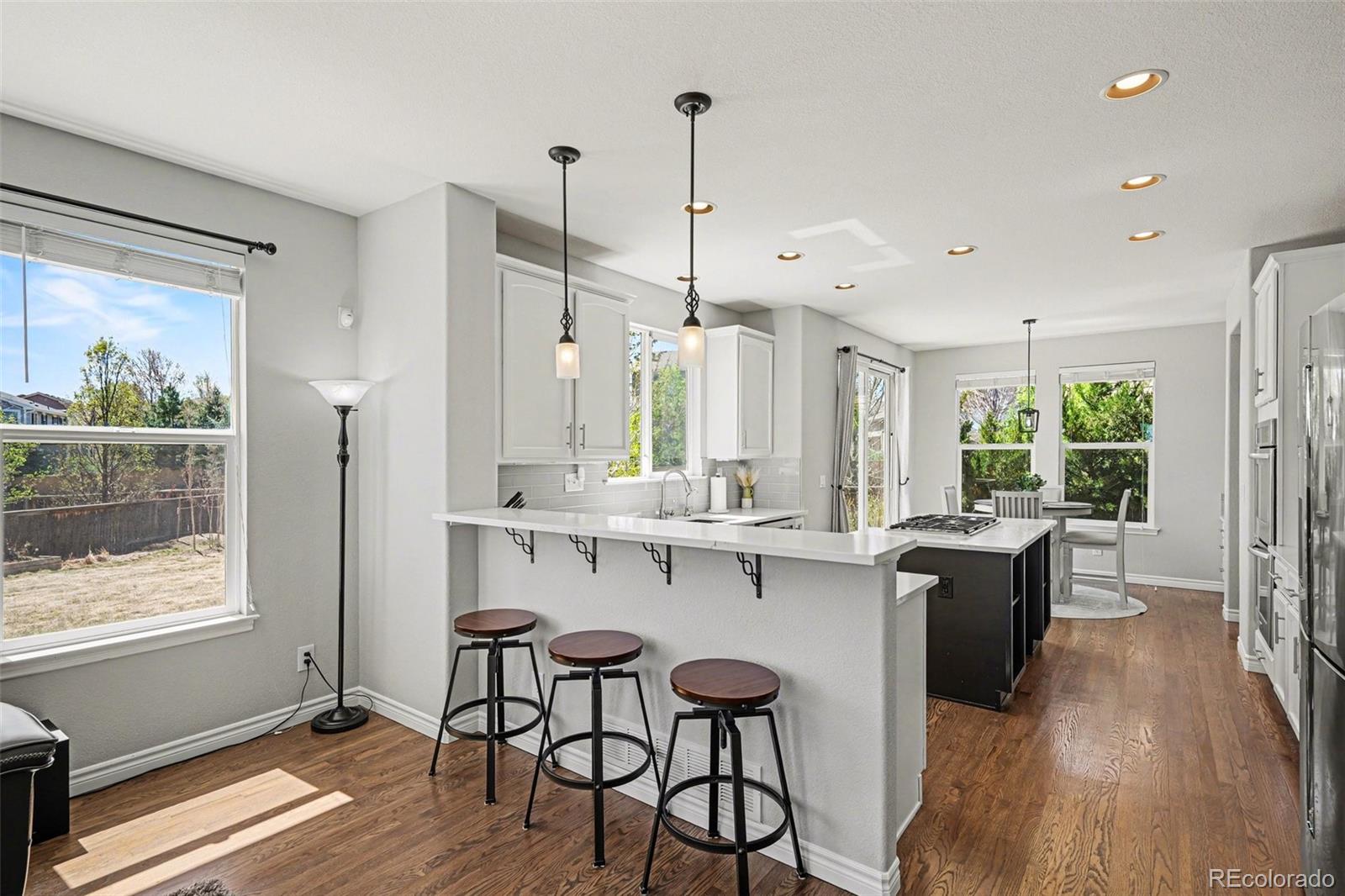 10912 Huntwick Street Highlands Ranch, CO 80130 - Photo 14 of 49