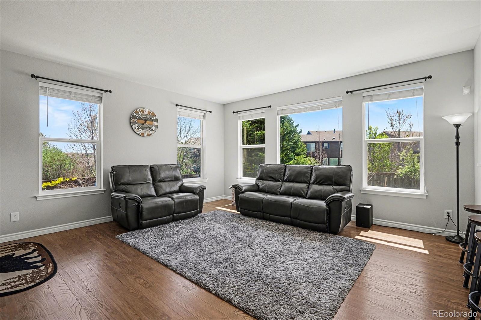 10912 Huntwick Street Highlands Ranch, CO 80130 - Photo 8 of 49