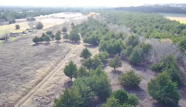 a view of a yard with trees