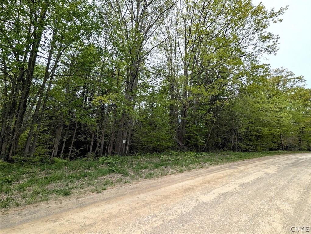 Stewart Road Addison, NY 14801 - Photo 23 of 29