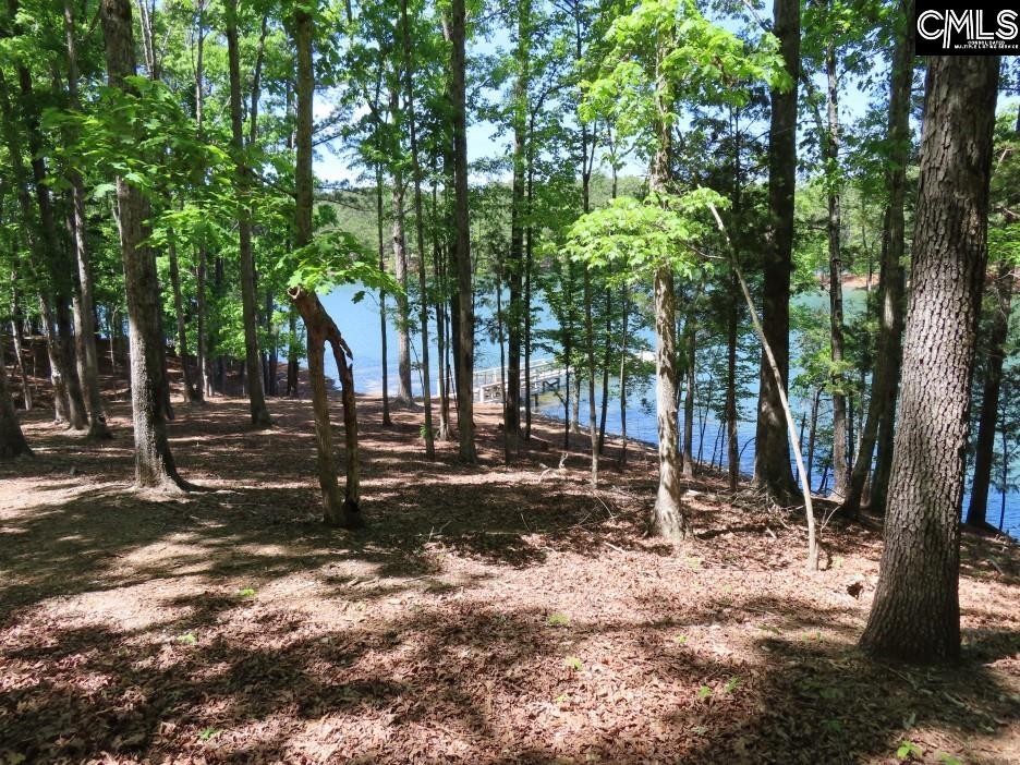 201 State Rd S-20-99 Blair, SC 29015 - Photo 59 of 61