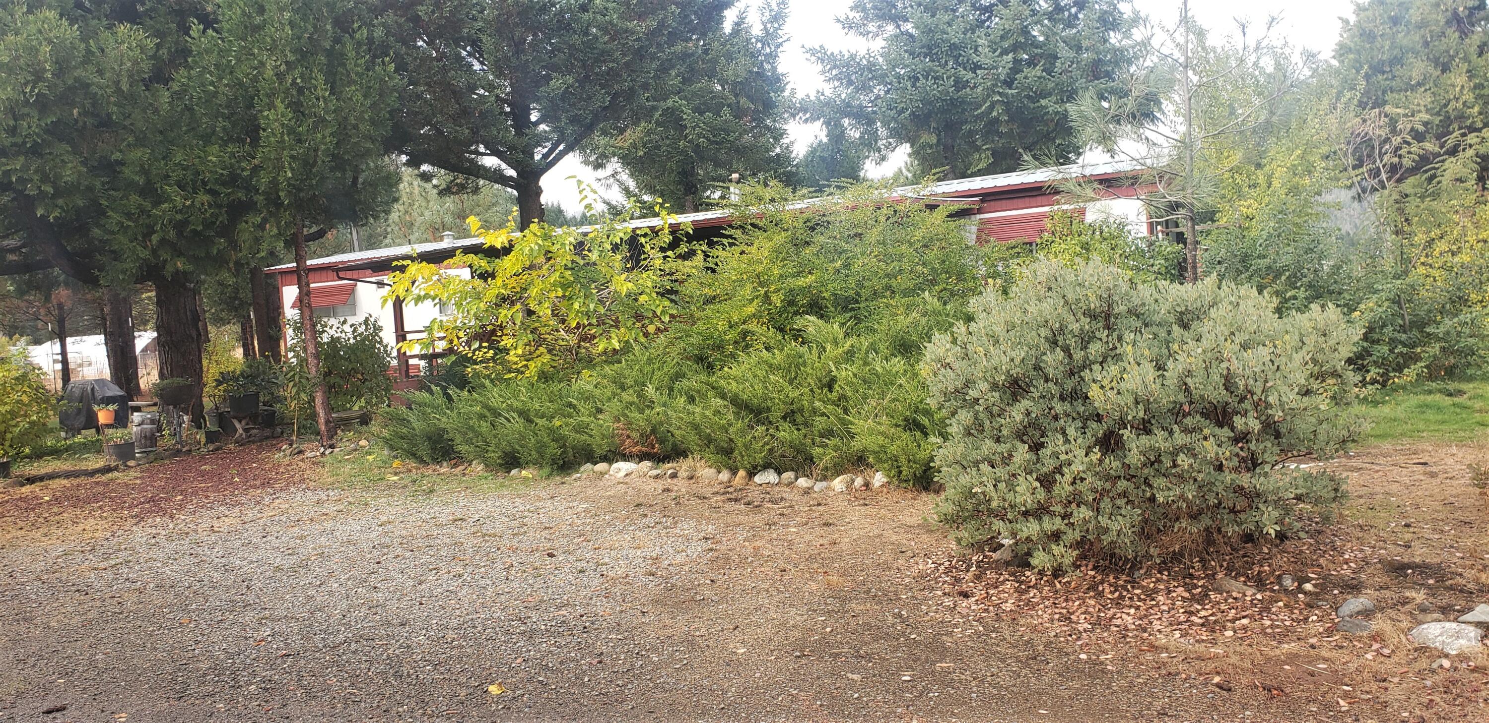 280 Turner Road Cave Junction, OR 97523 - Photo 11 of 38 Shrubs, trees offer some privacy of front of home, as viewed from main road.