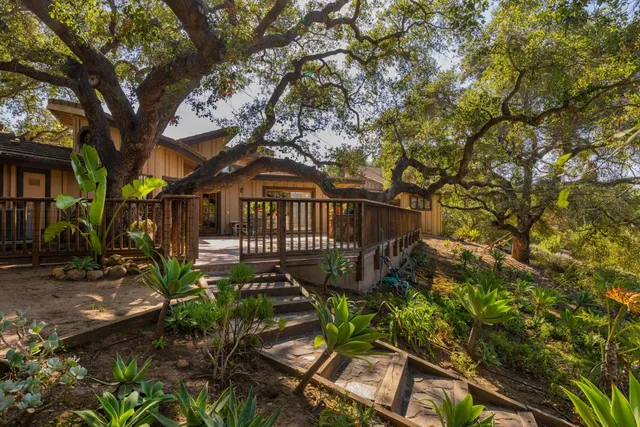 a view of a garden with a bench