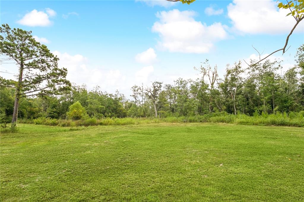 22920 Blood River Road Springfield, LA 70462 - Photo 14 of 16