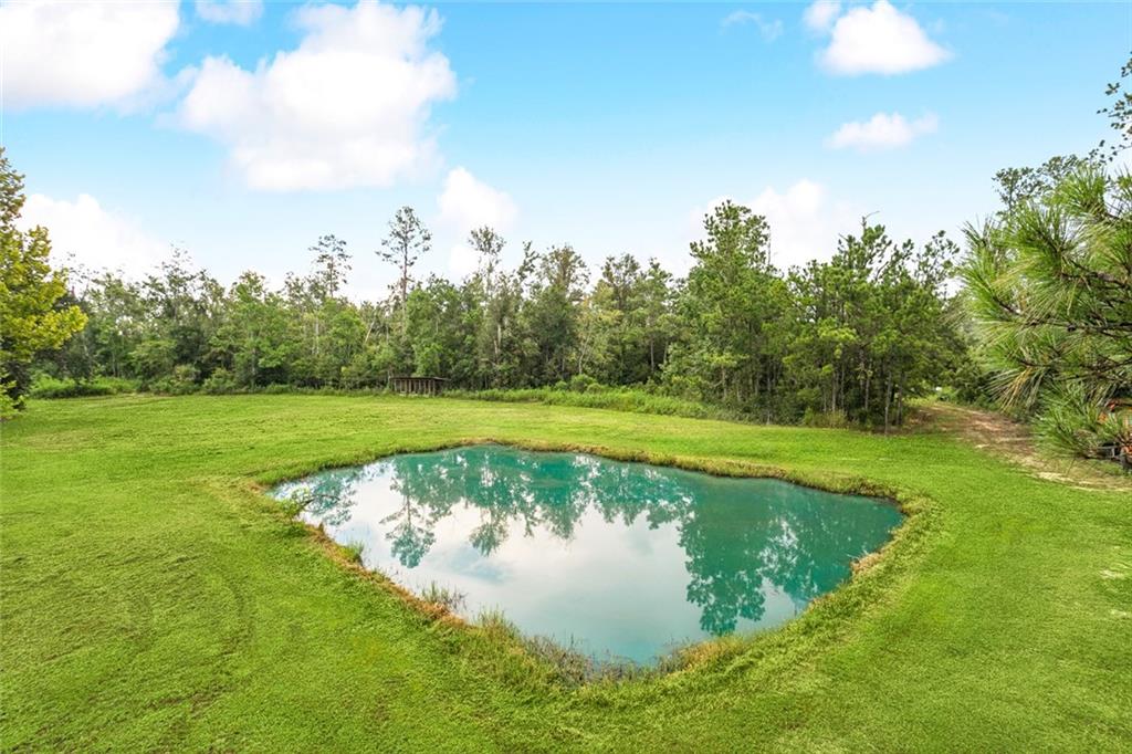 22920 Blood River Road Springfield, LA 70462 - Photo 15 of 16