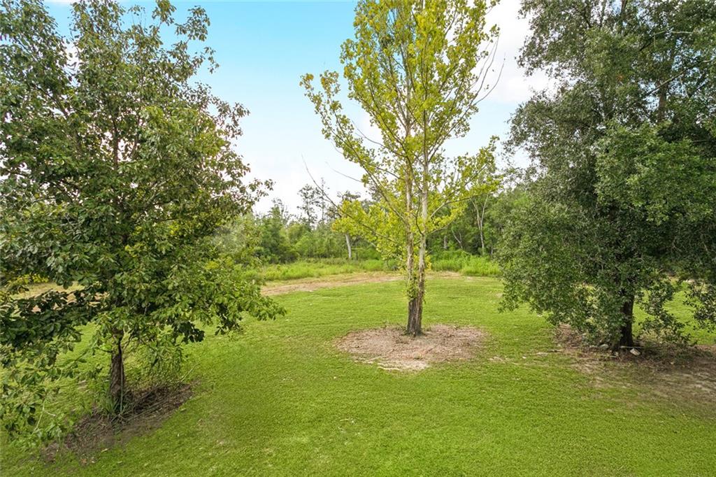 22920 Blood River Road Springfield, LA 70462 - Photo 16 of 16