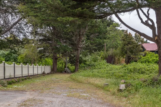 a view of a backyard with large trees and wooden fence
