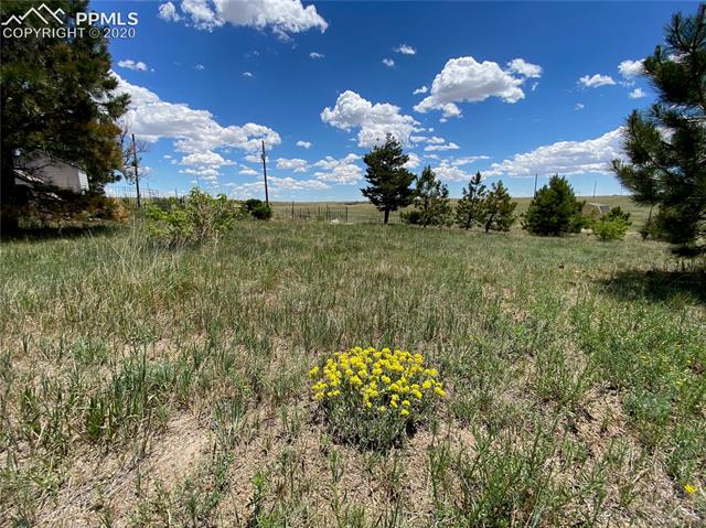 9715 Mulberry Road Calhan, CO 80808 - Photo 9 of 12 Gallery Image 9