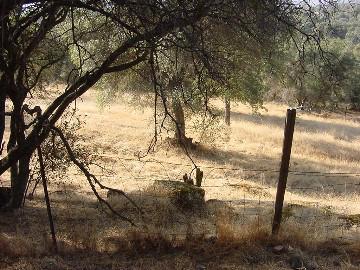30307 Auberry Road Prather, CA 93651 - Photo 3 of 5 Gallery Image 3