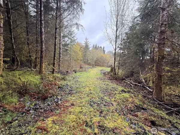 $459,000 | 0 Bunker Creek Road, Chehalis, WA 98532