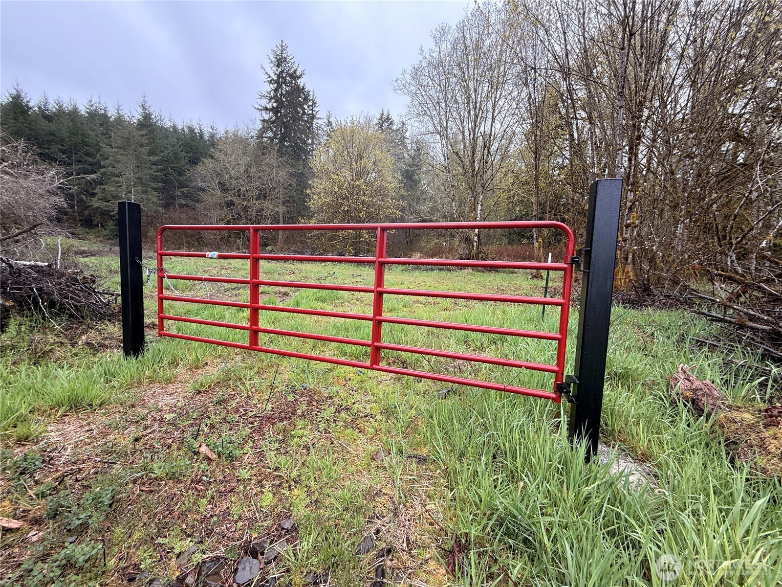 0 Bunker Creek Road Chehalis, WA 98532 - Photo 15 of 20 a view of backyard with green space