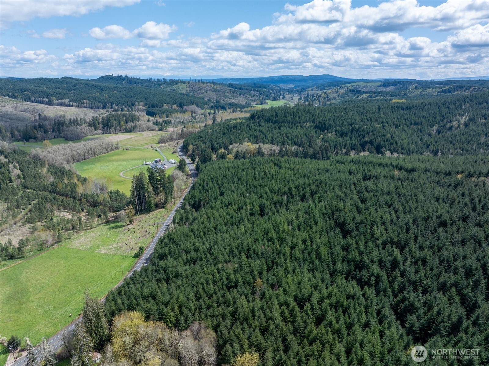 0 Bunker Creek Road Chehalis, WA 98532 - Photo 19 of 20 a view of a lush green forest with lots of trees