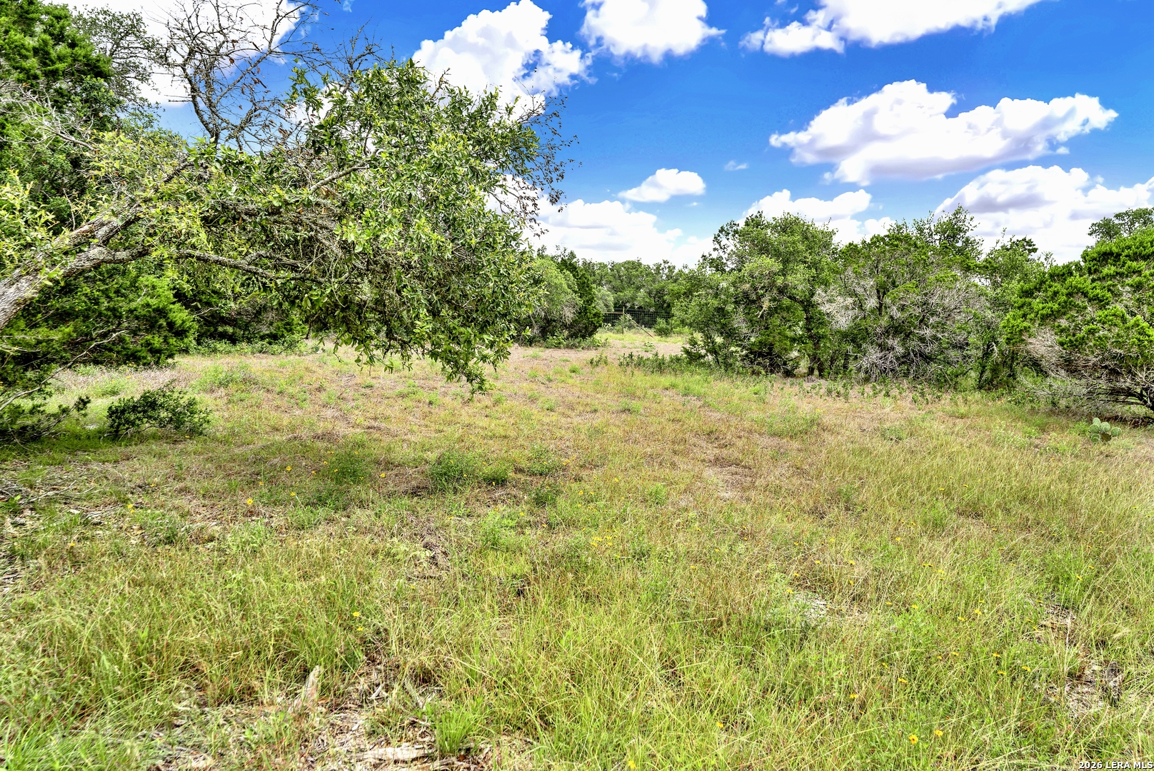 0 Fm 1796 D'Hanis, TX 78850 - Photo 16 of 26 a view of a yard with a tree