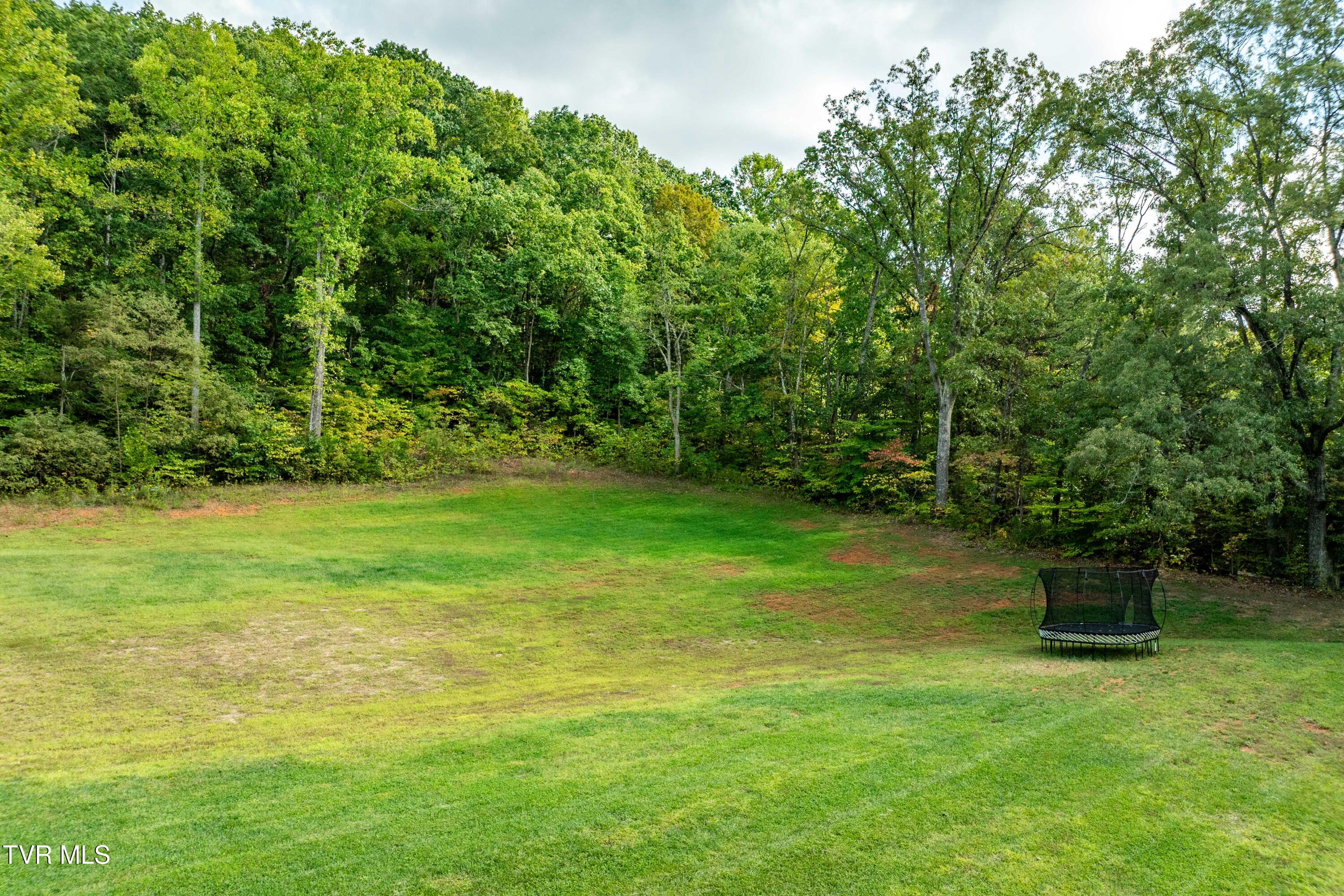 2333 Rock Springs Road Kingsport, TN 37664 - Photo 155 of 165 2333 Rock Springs Road (23 of 169)
