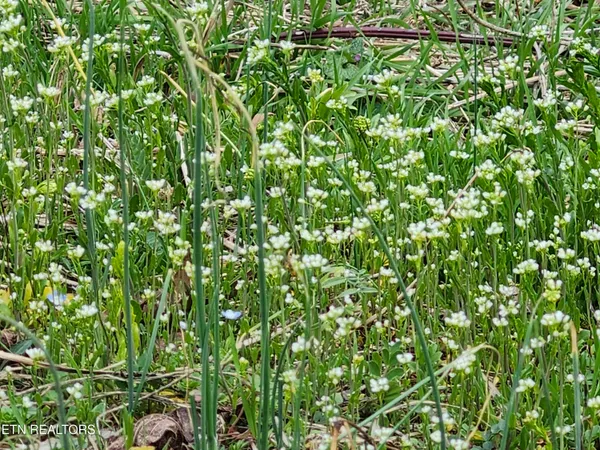 $225,000 | 4299 West Andrew Johnson Highway, Greeneville, TN 37743