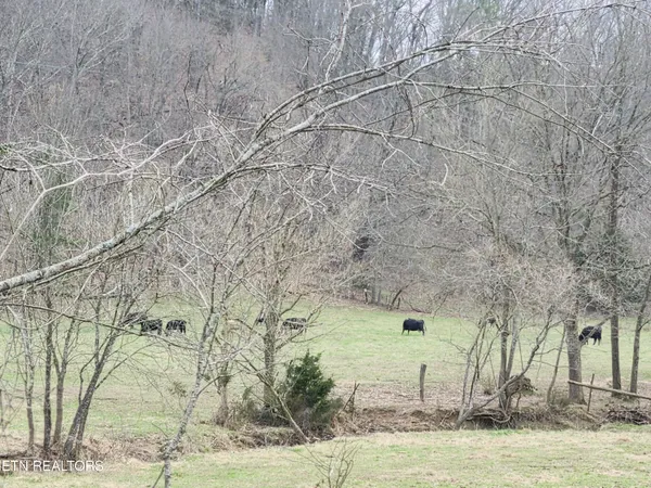 $225,000 | 4299 West Andrew Johnson Highway, Greeneville, TN 37743