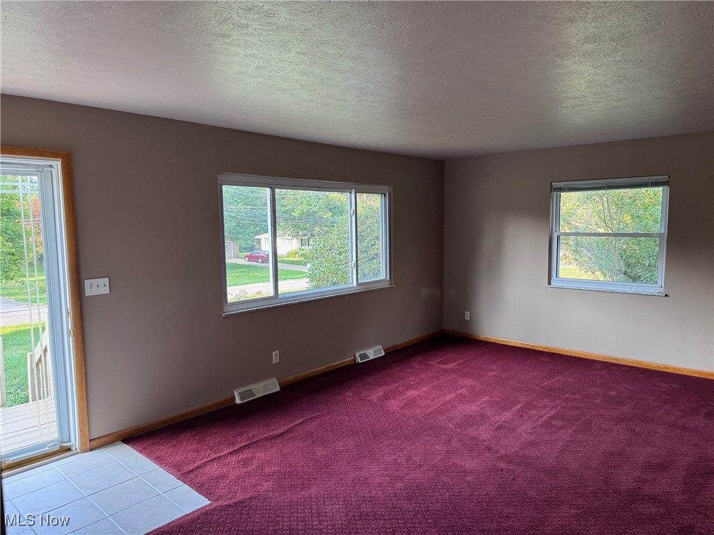 1719 Beryl Road Akron, OH 44312 - Photo 6 of 27 Empty room featuring carpet, a textured ceiling, and a healthy amount of sunlight