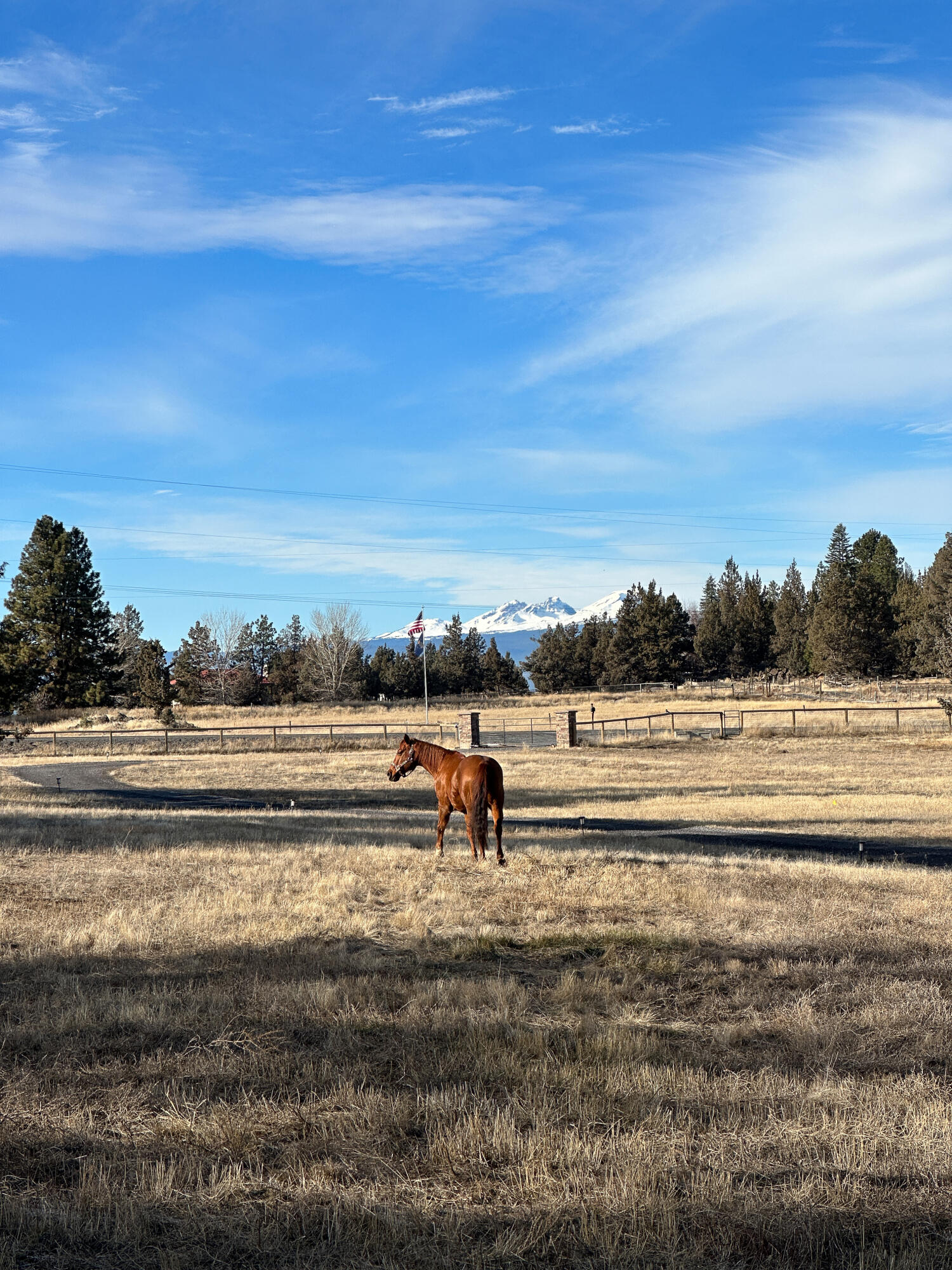 61280 Larsen Road Bend, OR 97702 - Photo 56 of 58 Views