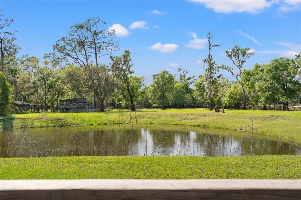 4508 Spring Road Valrico, FL 33596 - Photo 4 of 53