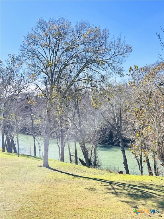 40 Cypress Valley Road Cuero, TX 77954 - Photo 18 of 19 a view of a yard with an trees