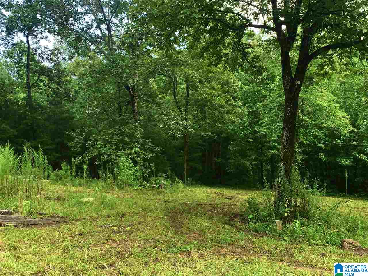 20855 Highway 11 Steele, AL 35987 - Photo 3 of 10