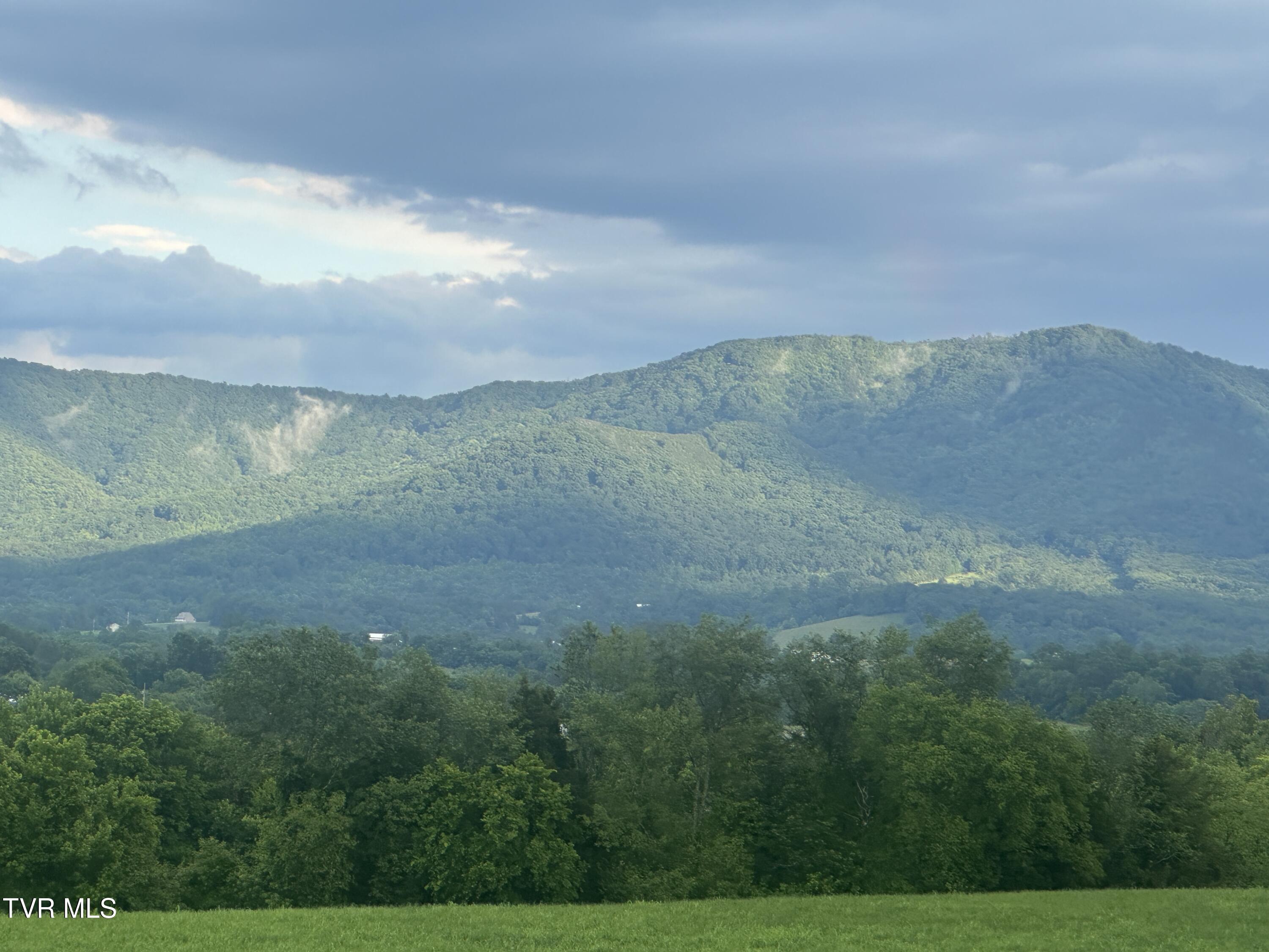 1070 Nolichuckey Road Greeneville, TN 37743 - Photo 2 of 66 IMG_4753