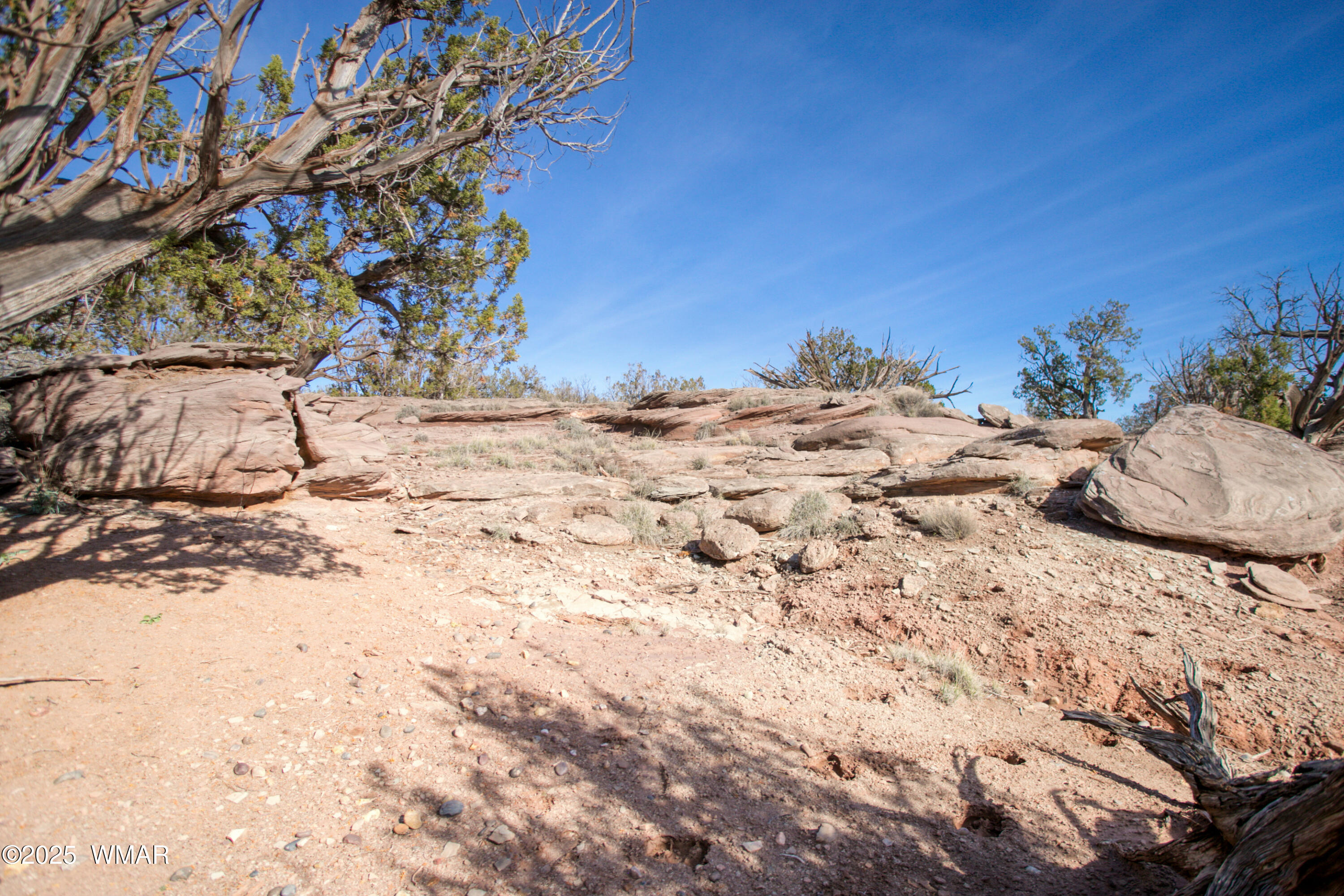 8555 Reata Lane Snowflake, AZ 85937 - Photo 55 of 88 a view of a dry yard with wooden fence