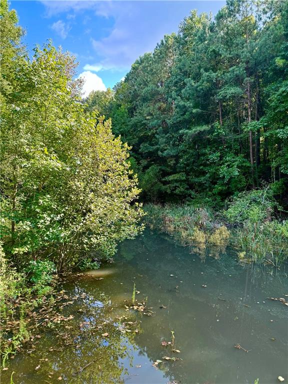 3300 Jack Glass Road Monroe, GA 30656 - Photo 53 of 54