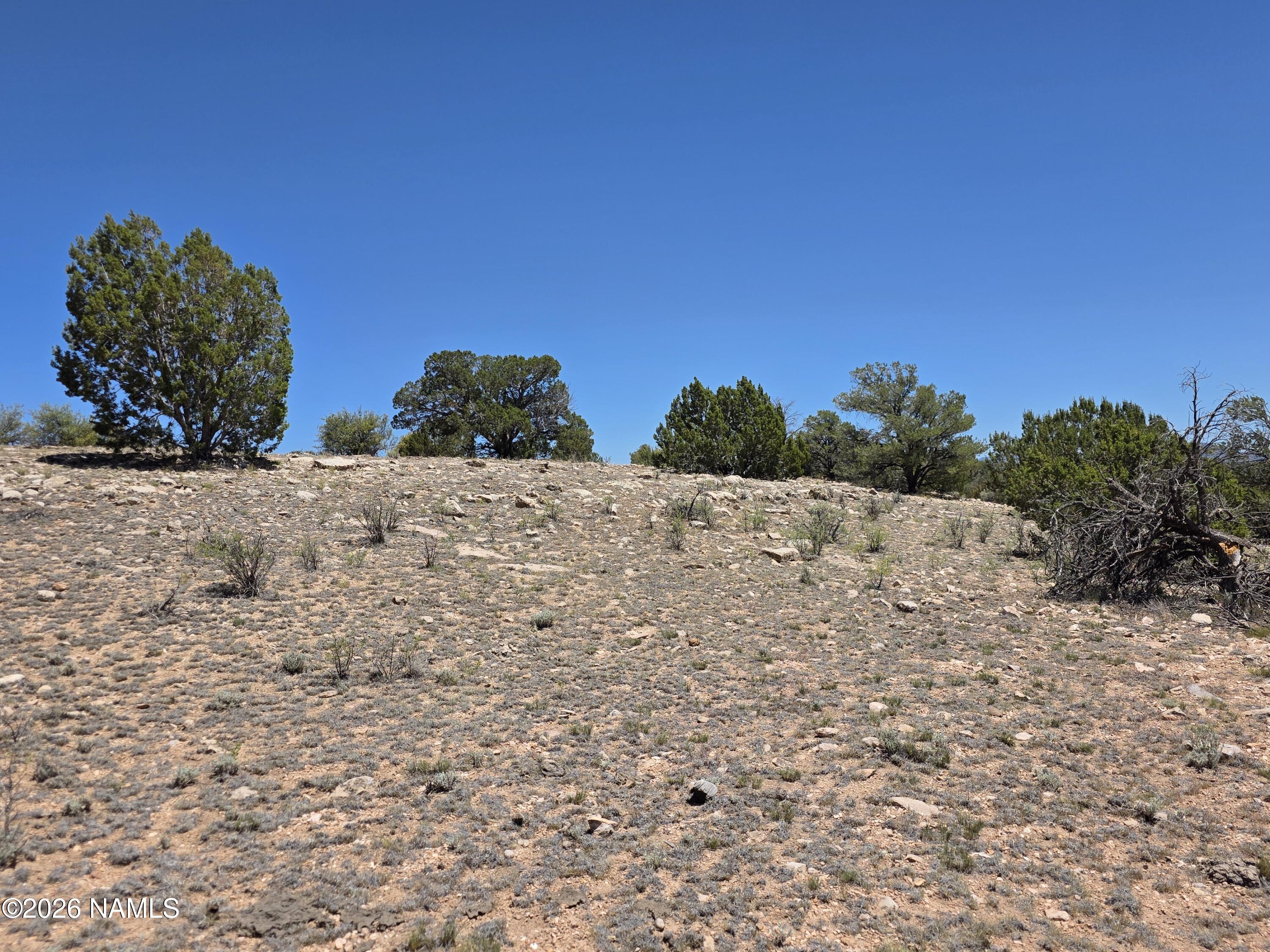 9966 Northstar Road Williams, AZ 86046 - Photo 26 of 37 1000065037