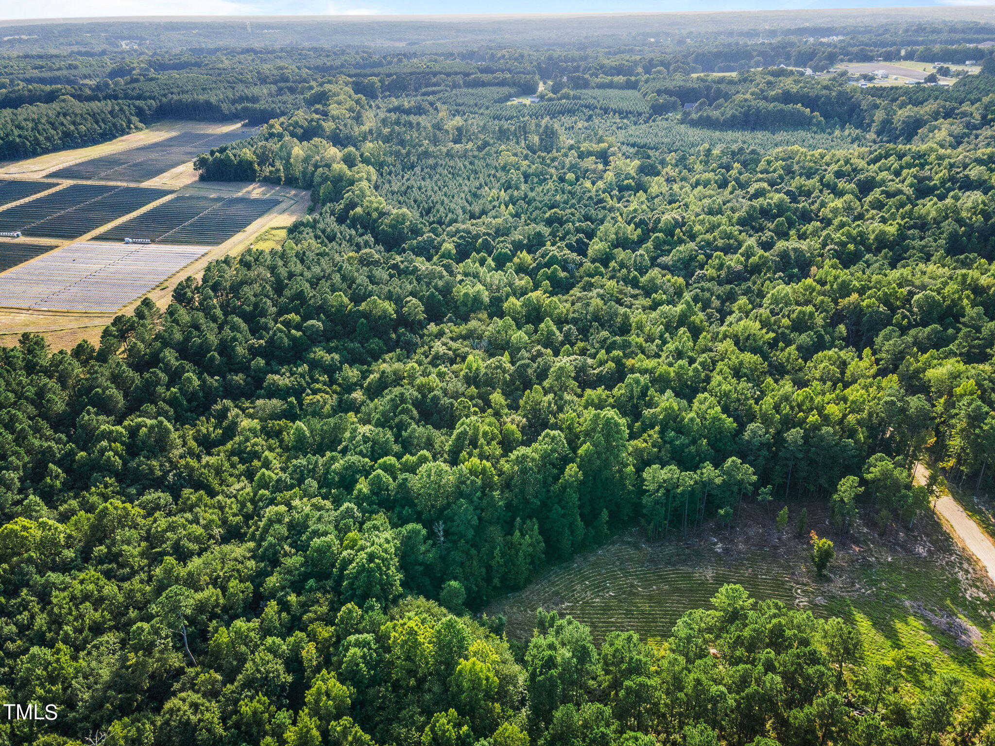 285 Old Eason Road Zebulon, NC 27597 - Photo 11 of 16