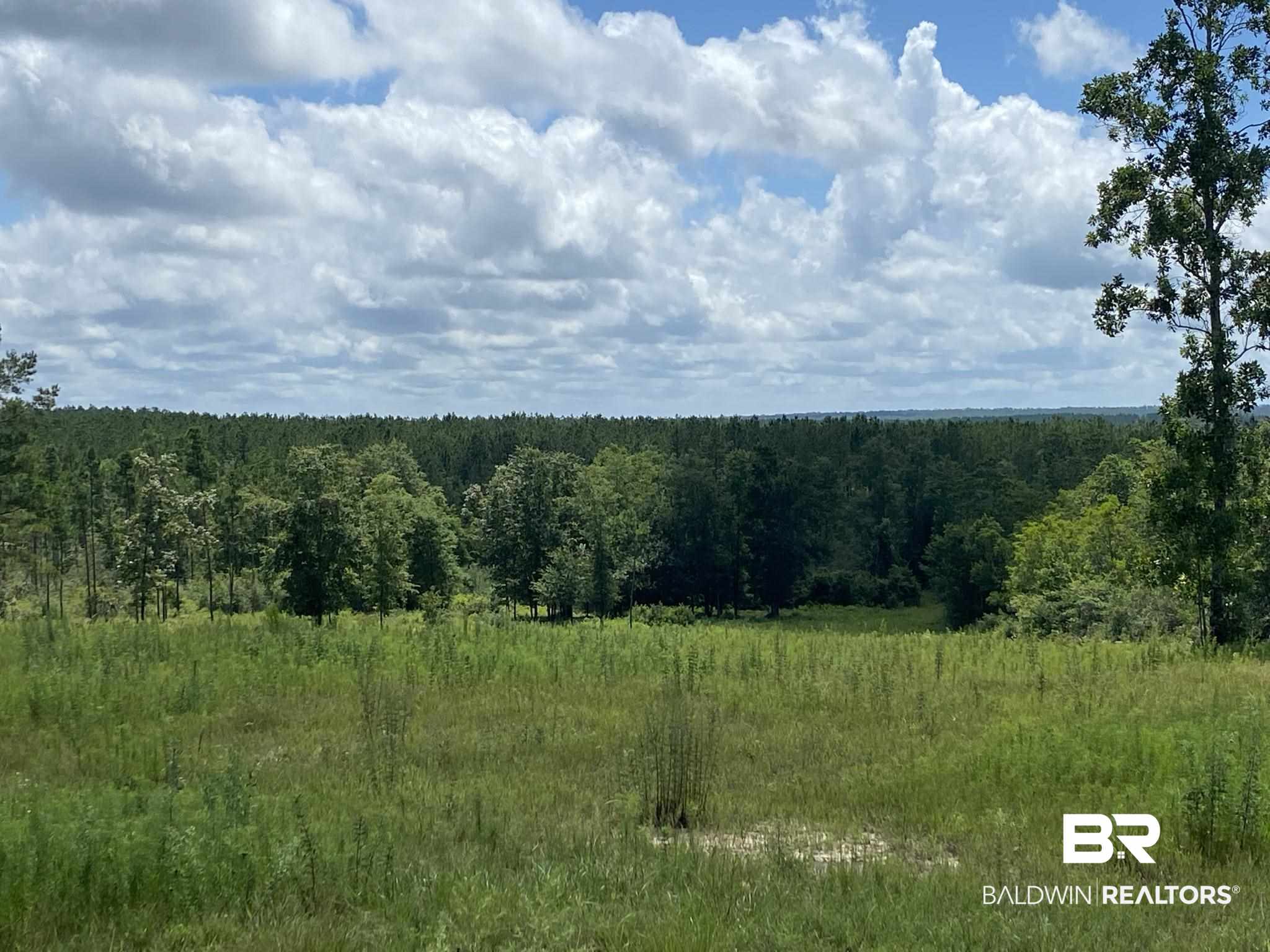 2534 Lewis Road Milton, FL 32570 - Photo 5 of 14 Gallery Image 5